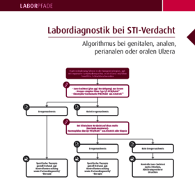  Labordiagnostik bei STI-Verdacht: Algorithmus bei genitalen, analen, perianalen oder oralen Ulzera