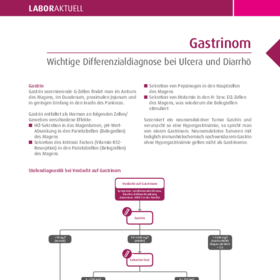 Gastrinom. Wichtige Differenzialdiagnose bei Ulcera und Diarrhö